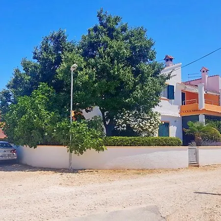 Nikola * Zadar