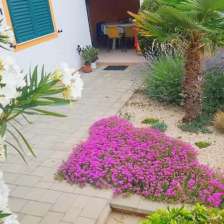 Nikola Apartment Zadar